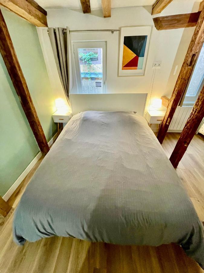 Strasbourg Magnifique Appartement Centre Ville Petite France Extérieur photo
